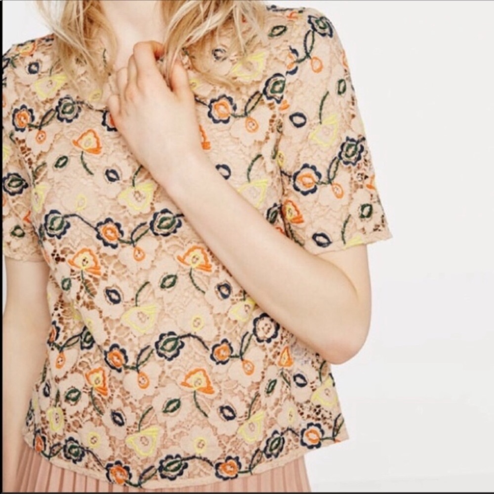 [Zara] Lace Eyelet Short Sleeve Blouse